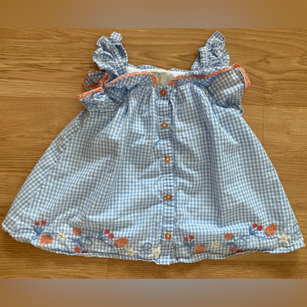 Joie Gingham Blue Gingham  Strawberry Embroidered Tunic 5T